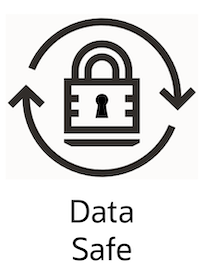 Data Safe